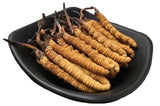 14 Studied Potential Benefits of Cordyceps Mushrooms
