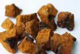 12 Reasons Why Chaga Mushrooms May Be The New Black Gold